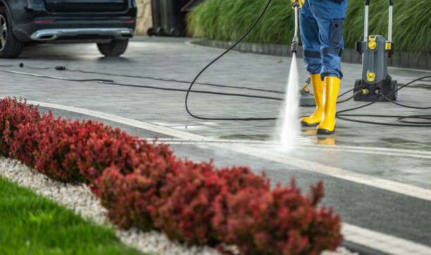 Local Pressure Washing Services in Ives Estates, FL